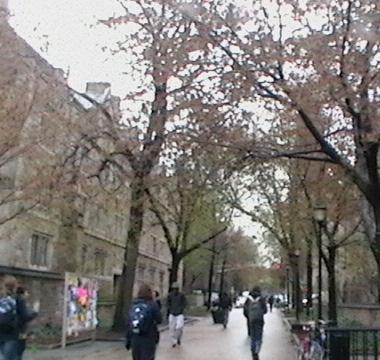 Yale University campus scene